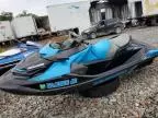 2018 Seadoo RXT230