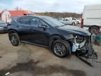 2024 Lexus NX 350H Base