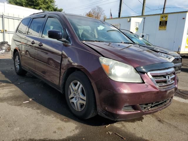 2007 Honda Odyssey EXL