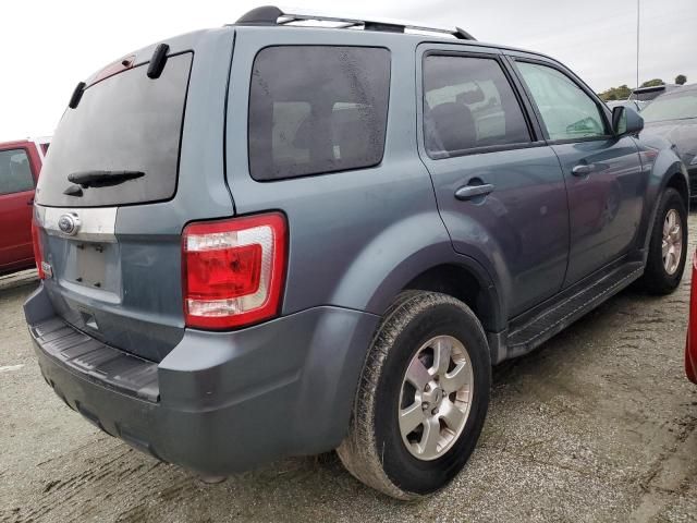 2011 Ford Escape Limited