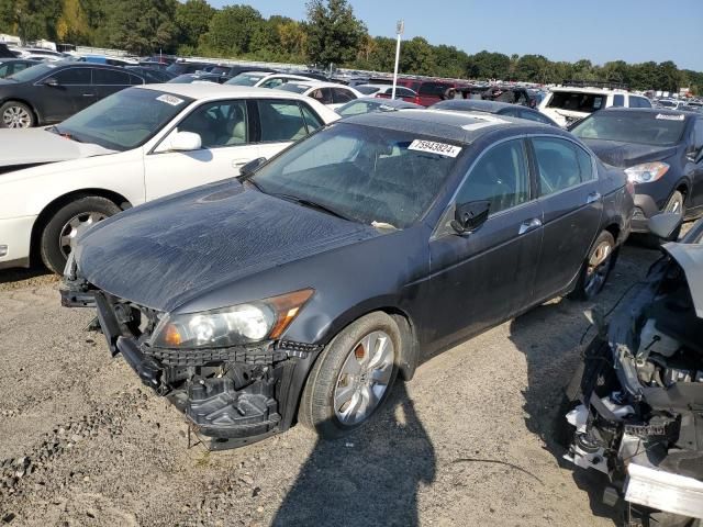 2009 Honda Accord EXL