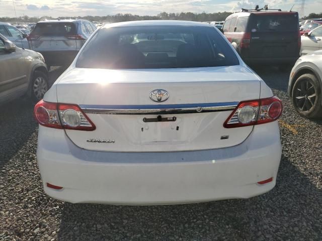 2011 Toyota Corolla Base