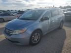 2013 Honda Odyssey EXL