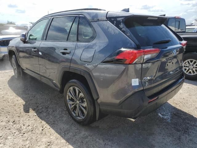 2024 Toyota Rav4 XLE Premium