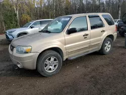 Carros con motor quemado a la venta en subasta: 2007 Ford Escape XLT