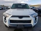 2020 Toyota 4runner SR5/SR5 Premium