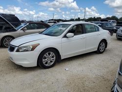 Salvage cars for sale at Arcadia, FL auction: 2010 Honda Accord LXP