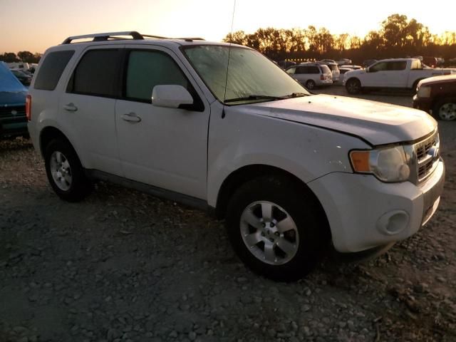 2012 Ford Escape Limited