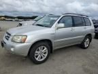 2007 Toyota Highlander Hybrid