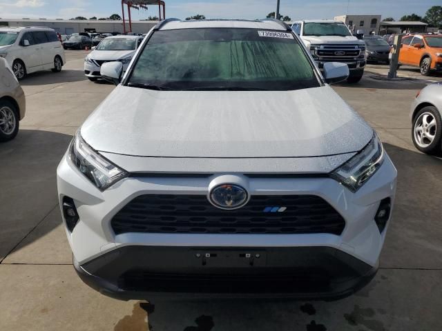 2023 Toyota Rav4 XLE Premium