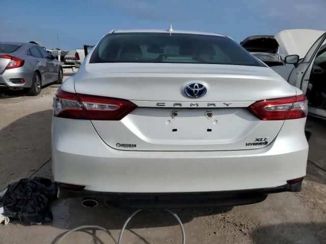 2019 Toyota Camry Hybrid