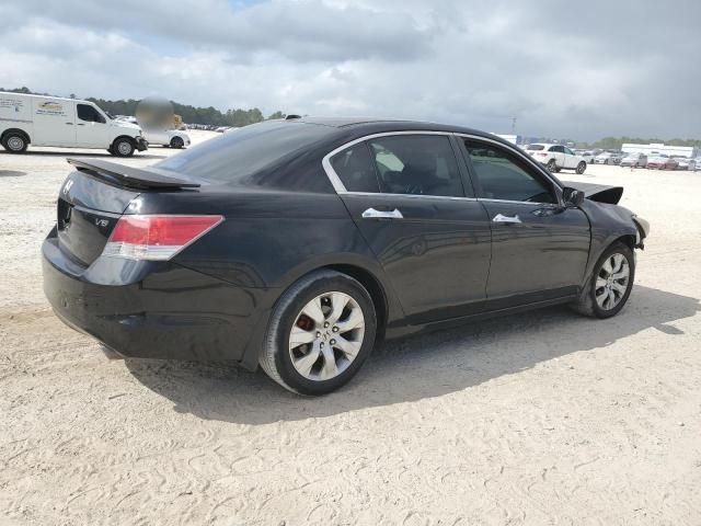 2010 Honda Accord EXL