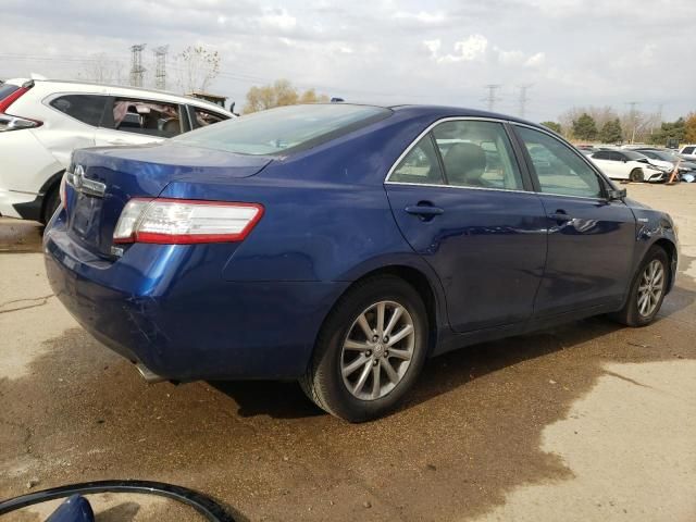 2010 Toyota Camry Hybrid