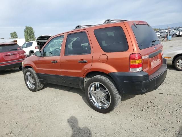 2005 Ford Escape XLS