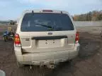 2007 Ford Escape XLT