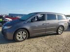 2016 Honda Odyssey EX