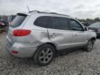 2007 Hyundai Santa FE SE