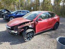 2023 Tesla Model Y en venta en Cookstown, ON