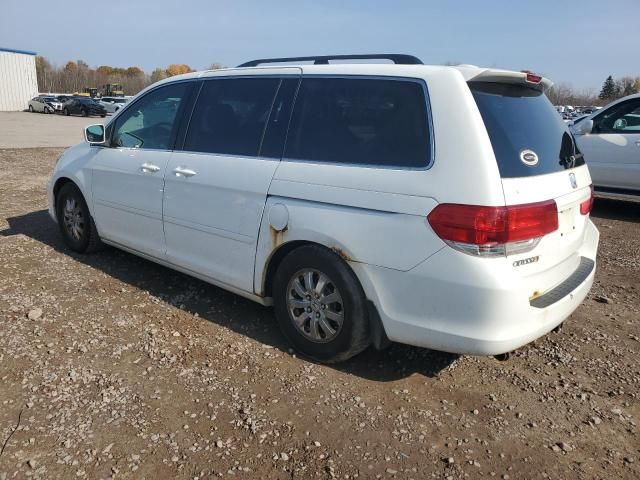 2010 Honda Odyssey EXL