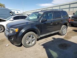 Salvage cars for sale at Albuquerque, NM auction: 2012 Ford Escape Limited