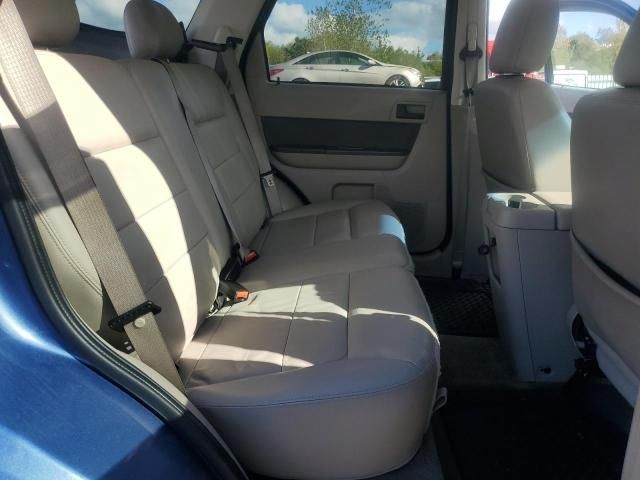 2009 Ford Escape XLT