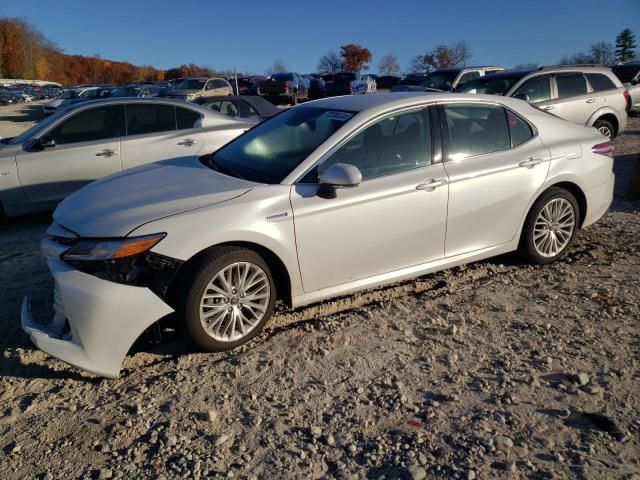 2019 Toyota Camry Hybrid