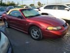 2004 Ford Mustang