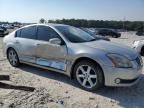 2006 Nissan Maxima SE