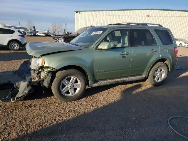 2009 Ford Escape Hybrid