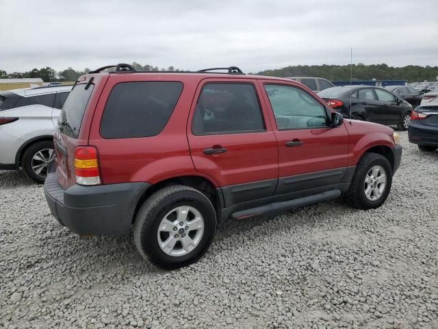 2005 Ford Escape XLT