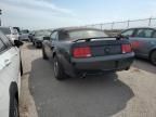 2006 Ford Mustang GT