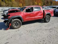 Toyota salvage cars for sale: 2023 Toyota Tacoma Double Cab