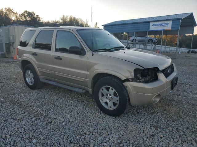 2007 Ford Escape XLT