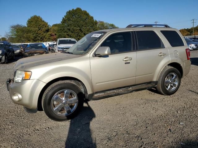 2011 Ford Escape Limited