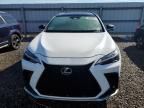 2022 Lexus NX 350