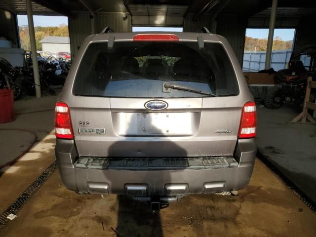 2009 Ford Escape XLT