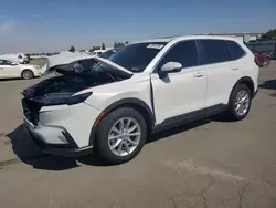 Salvage cars for sale at Bakersfield, CA auction: 2024 Honda CR-V EX