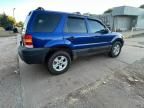 2005 Ford Escape XLT