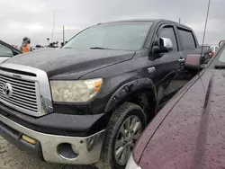 Toyota salvage cars for sale: 2012 Toyota Tundra Crewmax Limited