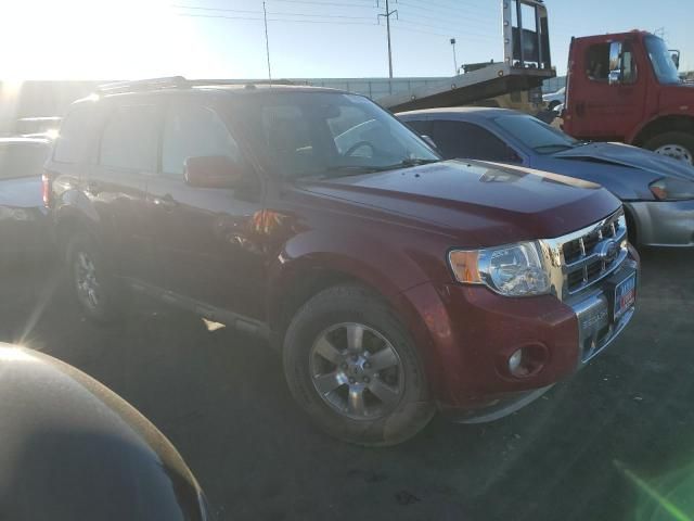 2011 Ford Escape Limited