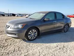 Salvage cars for sale at Arcadia, FL auction: 2011 Honda Accord EXL