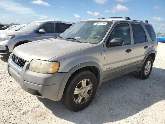 2001 Ford Escape XLT