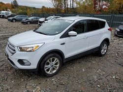 Salvage cars for sale at Candia, NH auction: 2019 Ford Escape SE