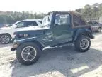 2001 Jeep Wrangler / TJ Sahara