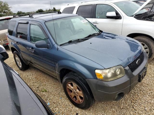 2006 Ford Escape XLT