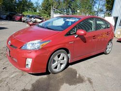 Toyota salvage cars for sale: 2010 Toyota Prius