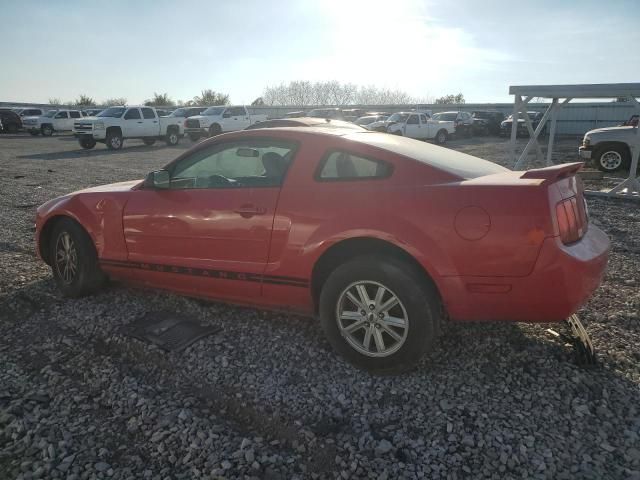 2005 Ford Mustang