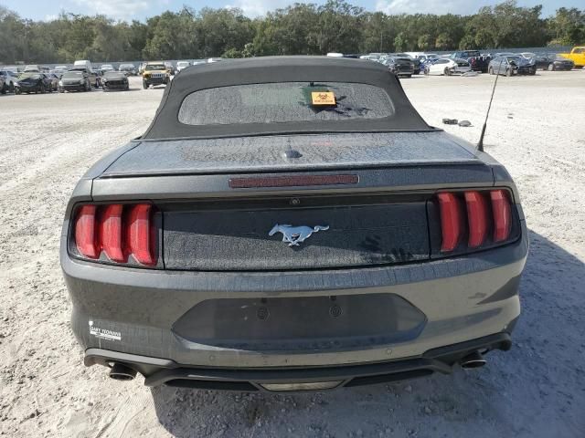 2019 Ford Mustang