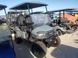 Salvage trucks for sale at Riverview, FL auction: 2024 Other Golf Cart