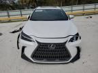 2024 Lexus NX 250 Premium